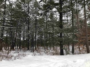 Lots 10 & 11 Charles Ct, Hazelhurst, WI 54531