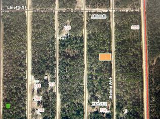0A Selma Ave, Interlachen, FL 32148