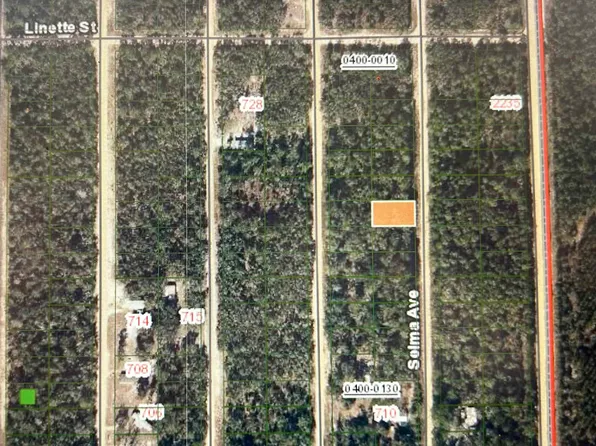 0A Selma Ave, Interlachen, FL 32148