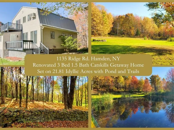 1135 Ridge Rd, Hamden, NY 13782