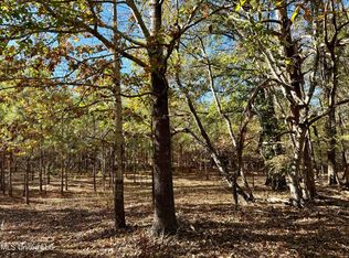 107 Windfall Trl #49, Madison, MS 39110