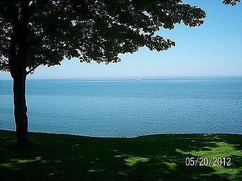 View from living room