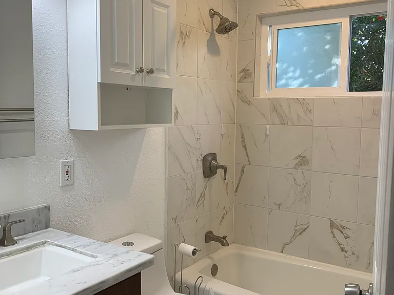 Upgraded hallway bathroom
