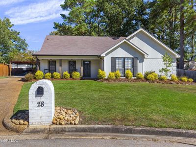 28 Rockford Ct, Brandon, MS, 39042