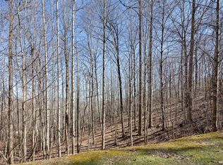 312 Boundary Tree Pass, Arden, NC 28704