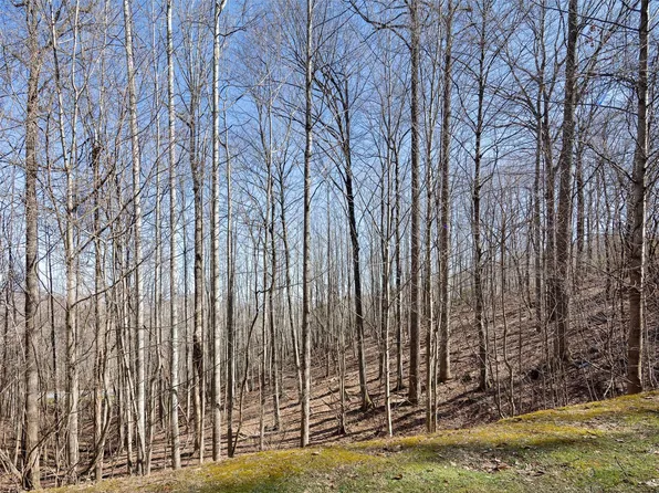 312 Boundary Tree Pass, Arden, NC 28704