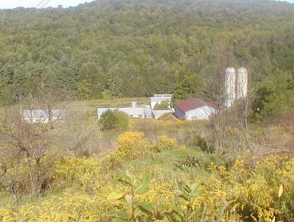 Former Dairy Farm