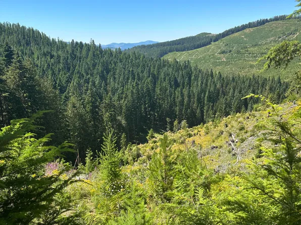 2580 Alpine Dr, Fernwood, ID 83830