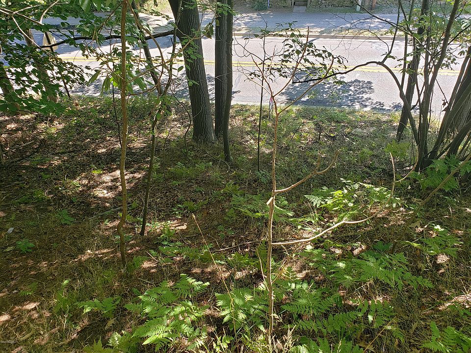 1st image of 3362 Lakeshore Dr