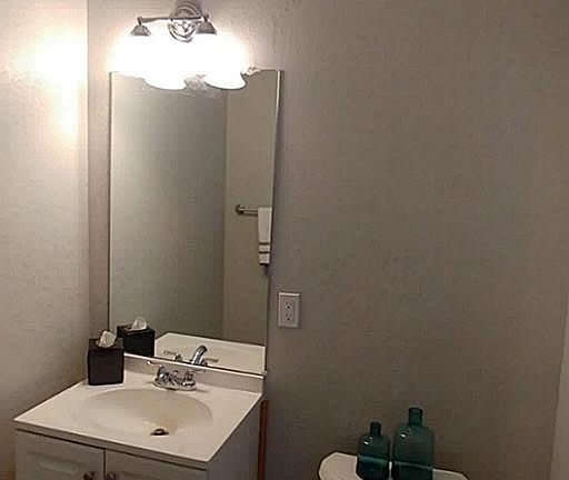 Half bathroom in the Master 