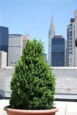 Rented by Buchbinder & Warren | media 10