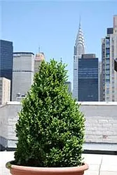 Rented by Buchbinder & Warren