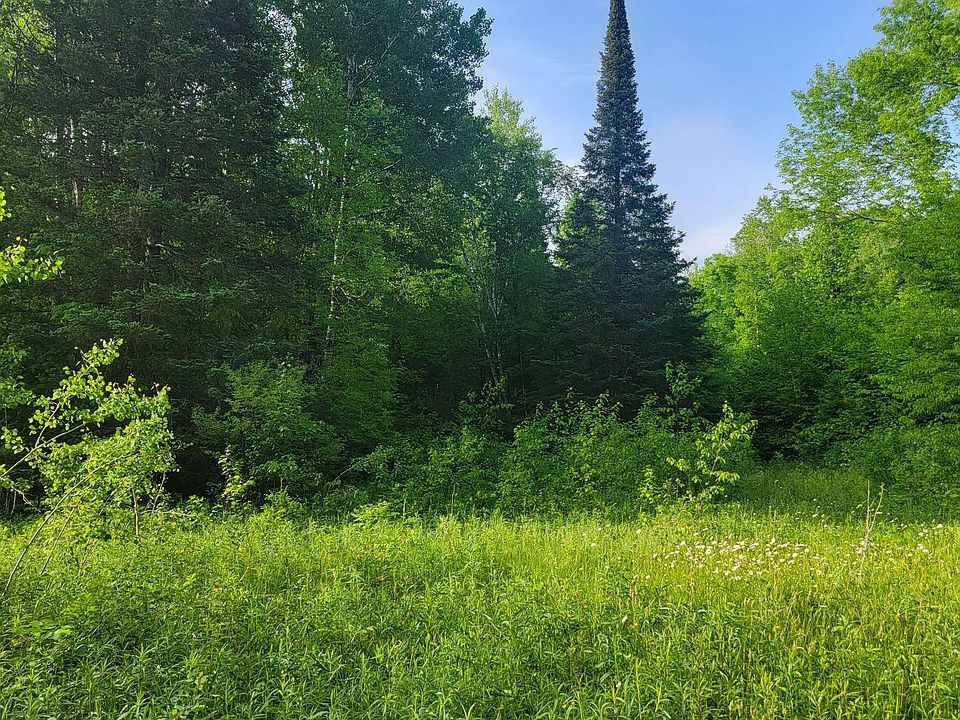 1st image of Doland Rd #40ACRES