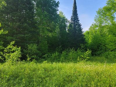 Doland Rd #40ACRES, Winter, WI, 54896