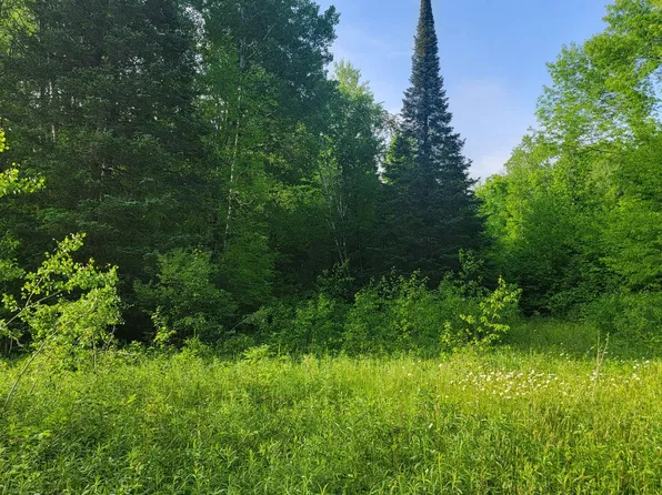 Doland Rd #40ACRES, Winter, WI 54896