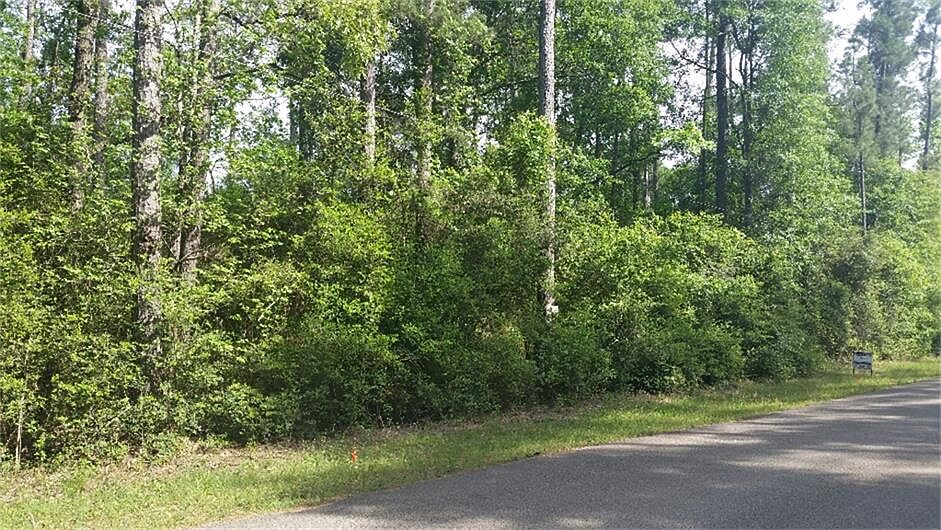 1st image of Bayou Tesch Lot 4