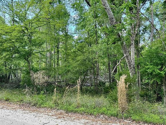 4th image of LOT 112 246th Pl