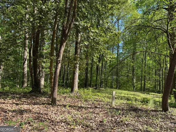 910 Lewis Dr, Lavonia, GA 30553