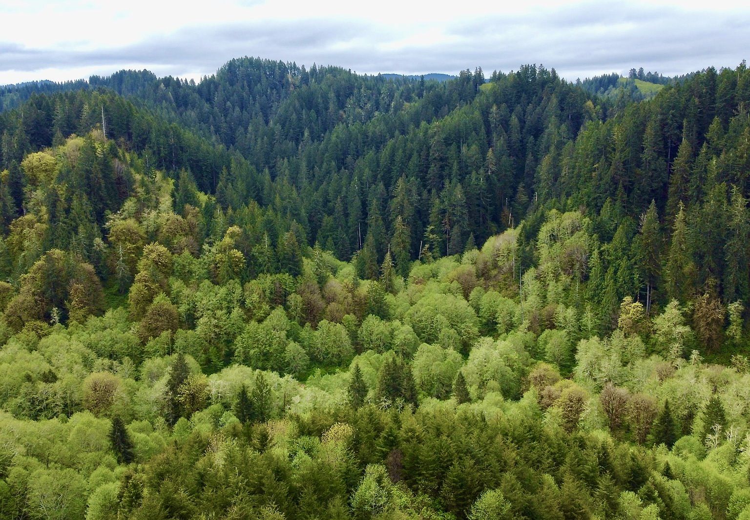 Nf 831, Mapleton, OR 97453 MLS 22110111 Zillow