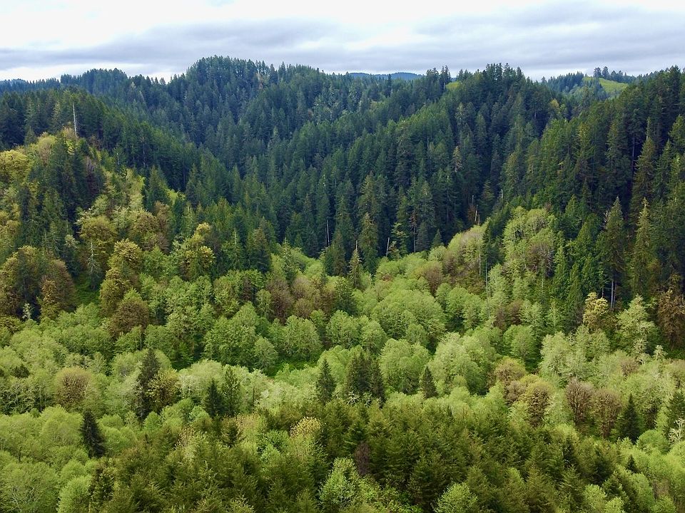 Nf 831, Mapleton, OR 97453 MLS 22110111 Zillow