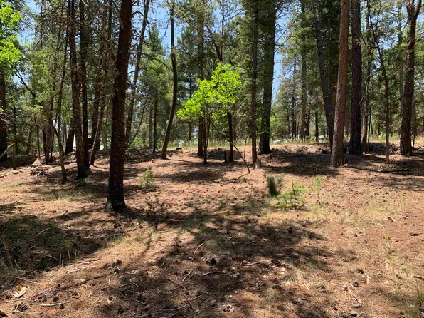 7 Timber Wolf #1, Mayhill, NM 88339