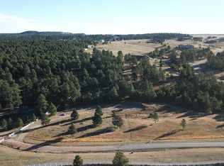 3388 Blue Heron Spring Ln, Colorado Springs, CO 80908