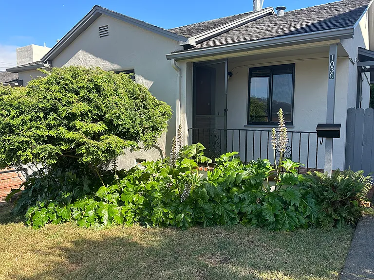 1030 Clay St — Photo 2
