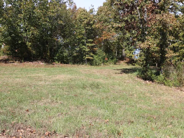000 Wild Turkey Road Block 1 Lot 13, West Plains, MO 65775