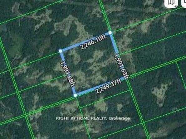 0A Flinton Rd E, Tweed, ON K0K 3J0