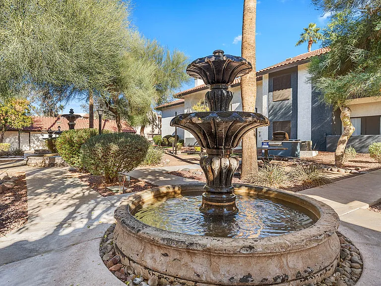 Fountain Palms — Photo 27