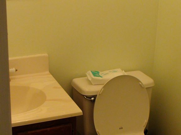Guest Bathroom(half)
