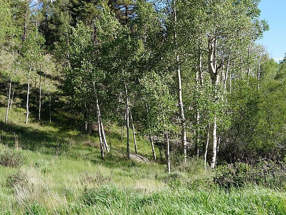 5th image of 765 Pinon Ln