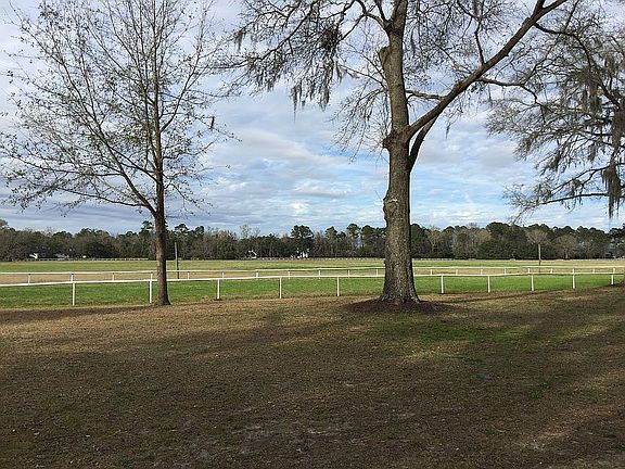 polo fields in back yard