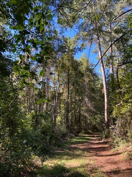 Entrance to property