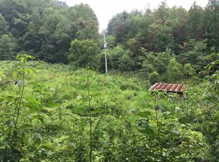 3815 Green Corner Rd, Hartford, TN 37753