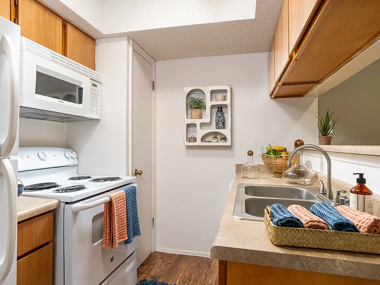 Shadow Ridge Apts. — Photo 11