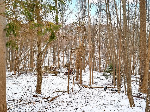 4th image of 217 Klein Rd