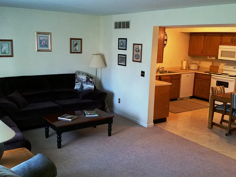 Living/Kitchen