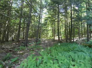 Thurston Hill Rd, Roxbury, VT 05669