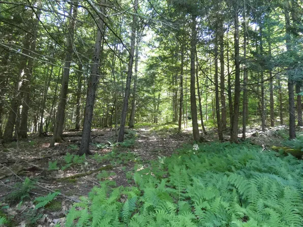 TBD Thurston Hill Road, Roxbury, VT 05669