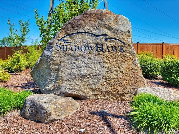 Welcome to Shadow Hawk!