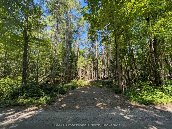 2246 Yearley Rd, McMurrich/monteith, ON P0A 1Y0