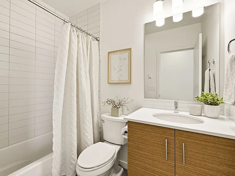Guest Bath (first floor)