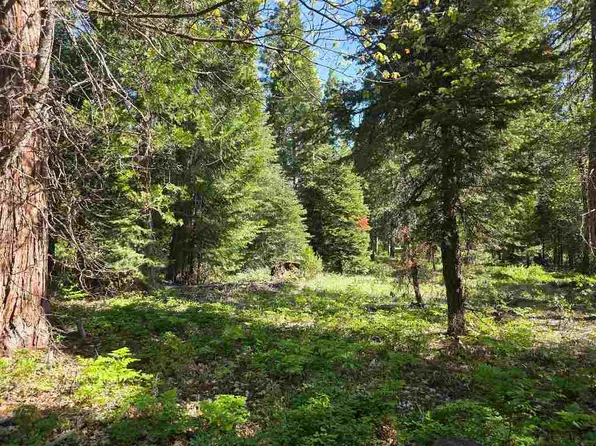 LOT 68 Old Mill Dr, McCloud, CA 96057