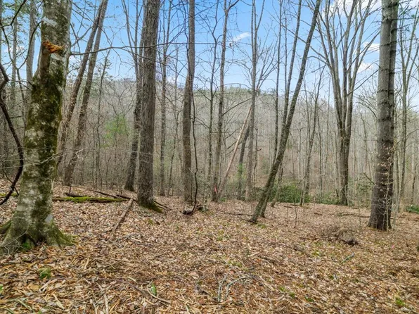 2 Craig Rd, Franklin, NC 28734