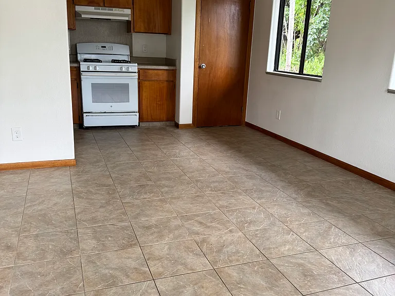 573A Manono St — Photo 4