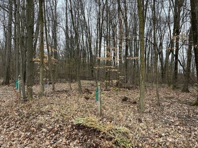 7326 State Route 19 Rd #U2-L325-328, Mount Gilead, OH, 43338