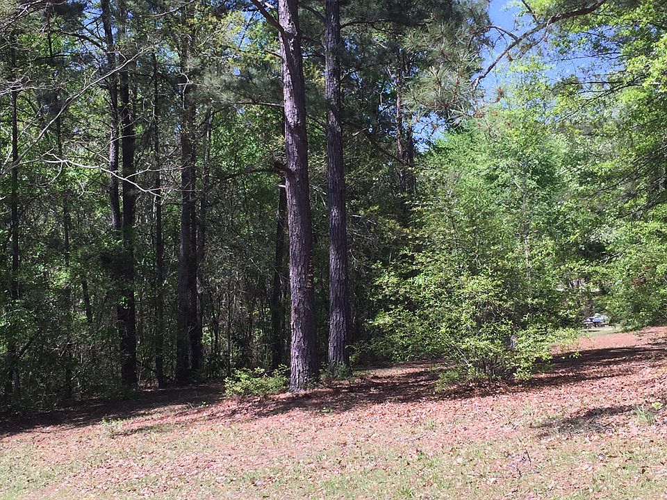 2nd image of Deer Trace #1