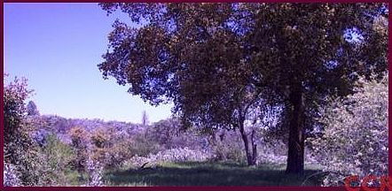 3rd image of 423-151-021-000