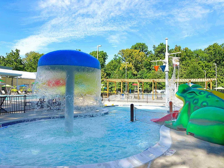 Kiddie pool with Frog Slide